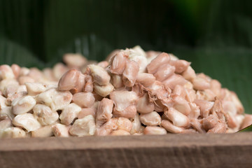 Raw Cocoa beans, Fresh cocoa beans in box