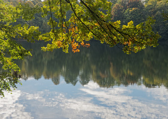 Altweibersommer an einem See im Wald