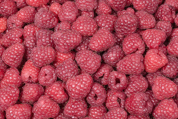 Background of fresh juicy raspberries