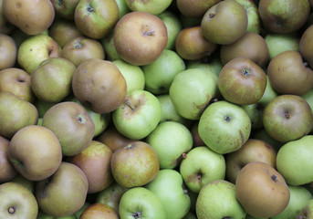 green apples on sale by the fruit grower