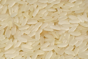 Background of grain rice closeup