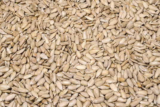 Background of peeled sunflower seeds