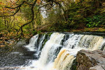 Fototapeta premium A picturesque waterfall (Sgwd Y Pannwr) in a tree lined river valley during the autumn