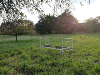 Ein leeres Bett in der Natur