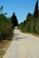 Tuscan countryside