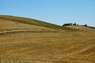 Fototapeta premium Tuscan countryside