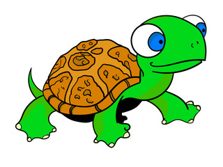 Funny turtle creative concept vector illustration