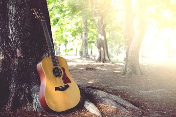 Acoustic guitar leaning against tree in the parks. Sunlight in the morning.