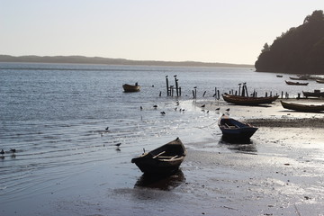 Botes de Puerto Saavedra