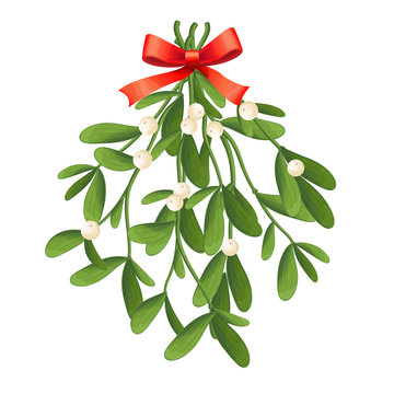 Branch of mistletoe with berries and red bow. A bouquet of Christmas.