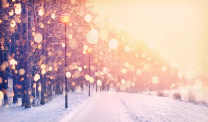 Vlies Fototapete Winter Schneeflocken auf Winterparkhintergrund. Schneefall im Park.