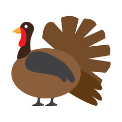 Isolated turkey icon on a white background, Vector illustration