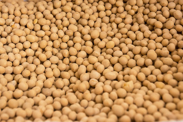 Only an expanse of chickpeas in pattern