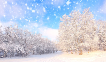 Christmas snowfall in park