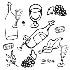 Wine collection. Hand drawn set of graphic elements