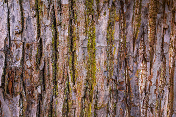 Natürlicher Hintergrund rustikal Natur Stein Holz