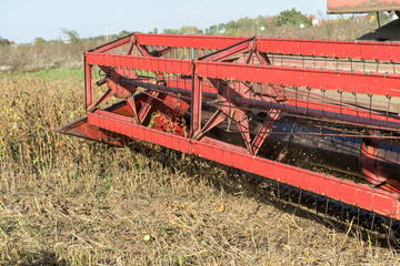 Obraz premium Harvesting of soybean field with combine. Detail of harvester. Agriculture soy crop.