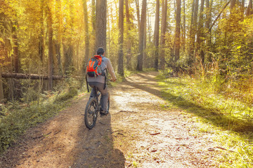 Fototapeta premium A bike ride in the autumn forest