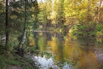 The river is surrounded by a bright motley autumn forest reflecting in the water