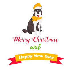 Holiday dog . Perfect for the year of dog 2018. New Year and Christmas background.