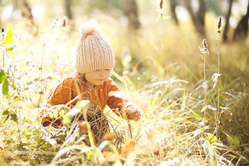 Adorable little girl discovering nature at the autumn forest, sunny day