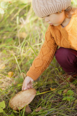 Little kid picking edible musroom, autumn forest