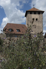 Fototapeta na wymiar Dambach, Alsazia, Francia, Europa