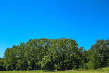 Blue sky above the green forest