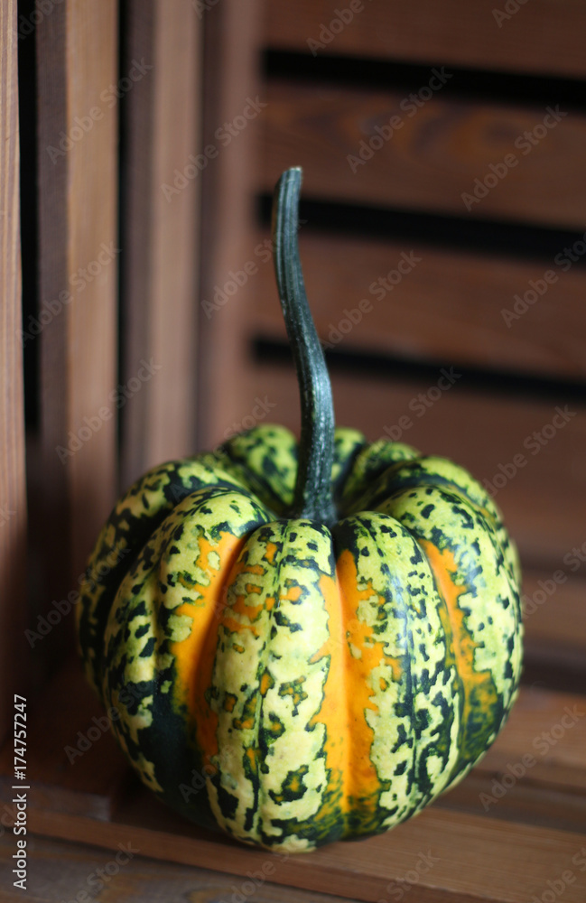 Wall mural three-colored pumpkin on a wooden background