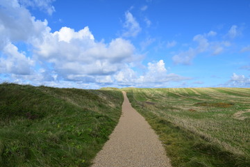 Küstenweg an der Nordsee