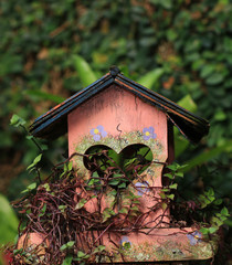 Bird house in the garden