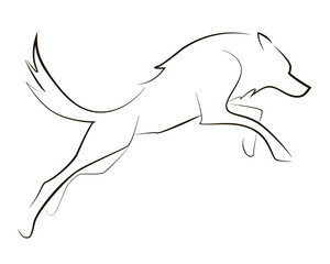 Running black line wolf on white background. Hand drawing vector graphic dog. © Nadya