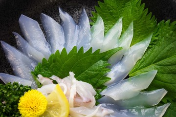 烏賊のお刺身