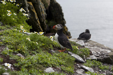 Ireland-juin-juillet-2017