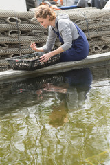 oysters in metal bag on farm