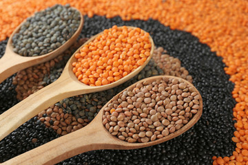 Composition with different types of lentils and wooden spoons