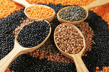 Composition with different types of lentils and wooden spoons