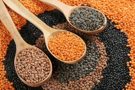 Composition with different types of lentils and wooden spoons