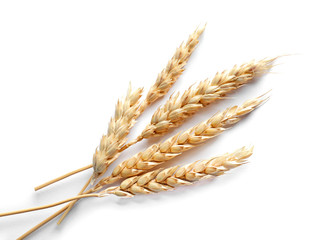 Ripe wheat on white background