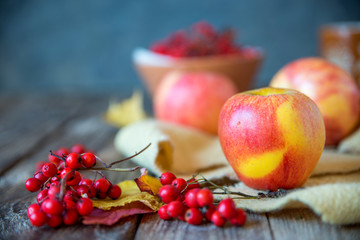 red yellow apples on a wooden texture with red Rowan