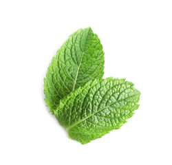 Fresh mint on white background