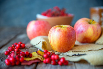 red yellow apples on a wooden texture with red Rowan