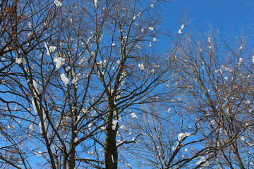 Inverno in montagna