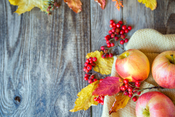 red yellow apples on a wooden texture with red Rowan