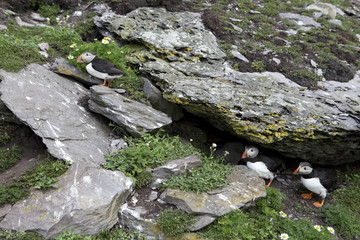 Ireland-juin-juillet-2017