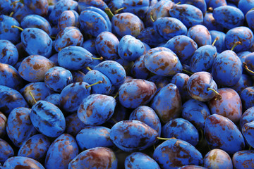 Fresh ripe plums as background