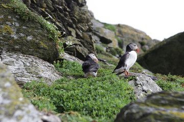 Ireland-juin-juillet-2017