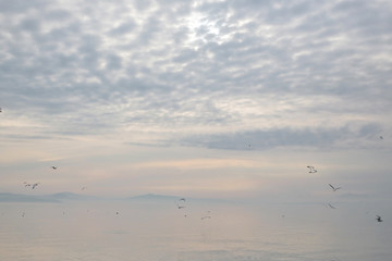 Gli uccelli volano sulle acque del lago Trasimeno durante il tramonto. 