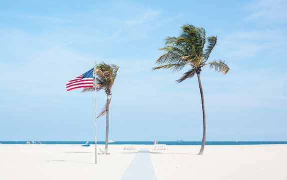 American flag and palm trees swaying on the beach