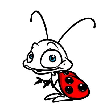 Ladybug insect cartoon illustration isolated image
